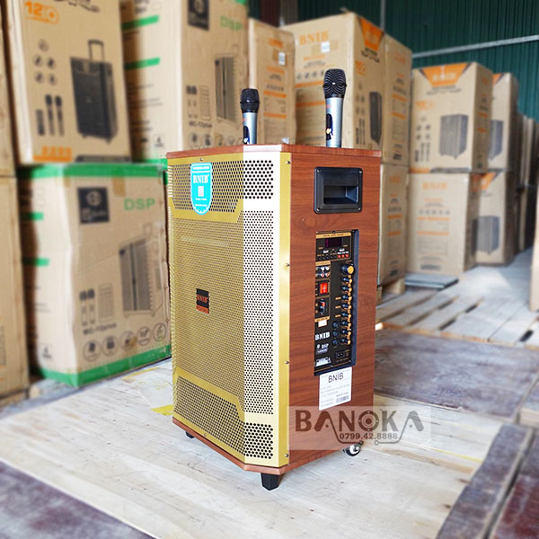 https://banoka.vn/Loa kéo BINB 2599 bass 40 mới nhất (5)